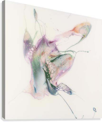 Metamorphosis Canvas Print