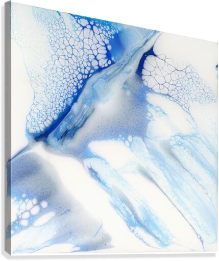 Slip Canvas Print