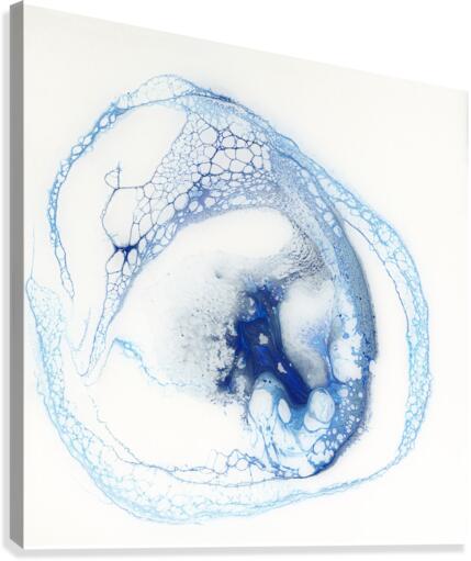 Pelagic Canvas Print