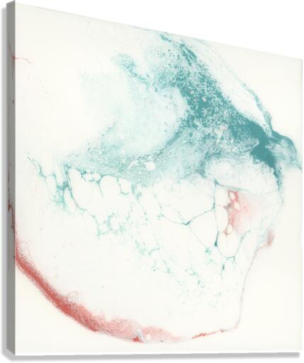 Satellite Canvas Print