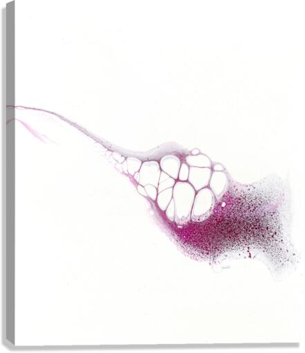 Closer Canvas Print