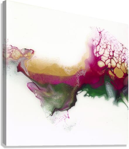 Dream State Canvas Print