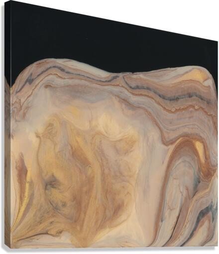 Before Time 2 Canvas Print
