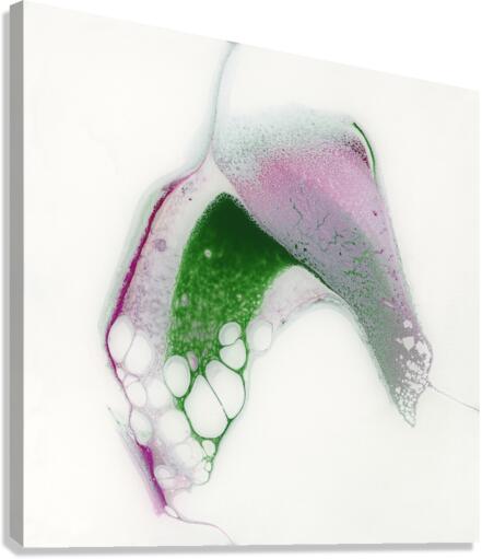Newness Canvas Print