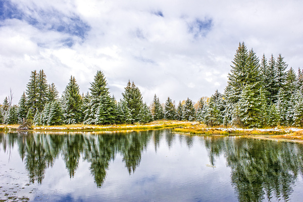 Schwabacher Print