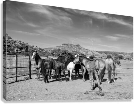 Big Loop Canvas Print