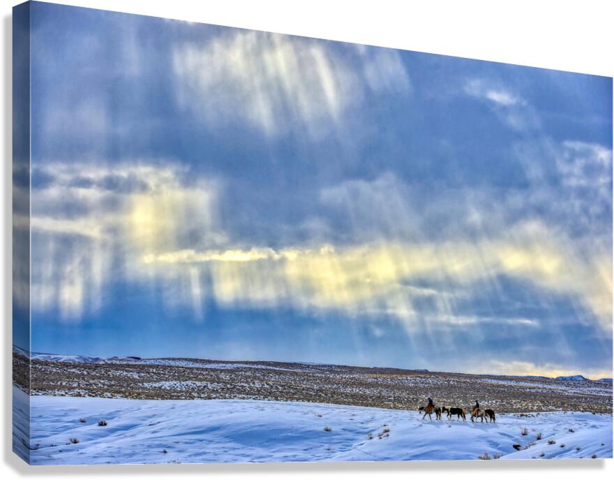  Cold Trail Canvas Print