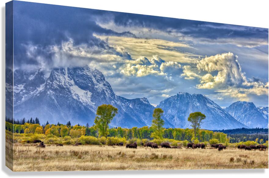 Three Sentinels Canvas Print