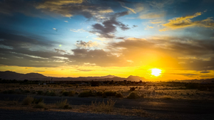 Desert Gold