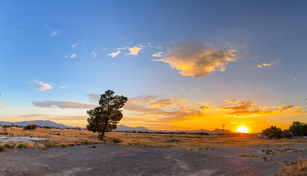 Desert Sentinel by The Sky Made Me Stop Photography 