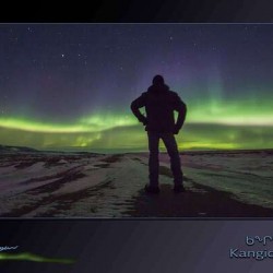 The great light show