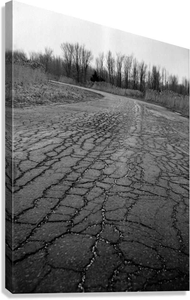 Fractured Journey Canvas Print