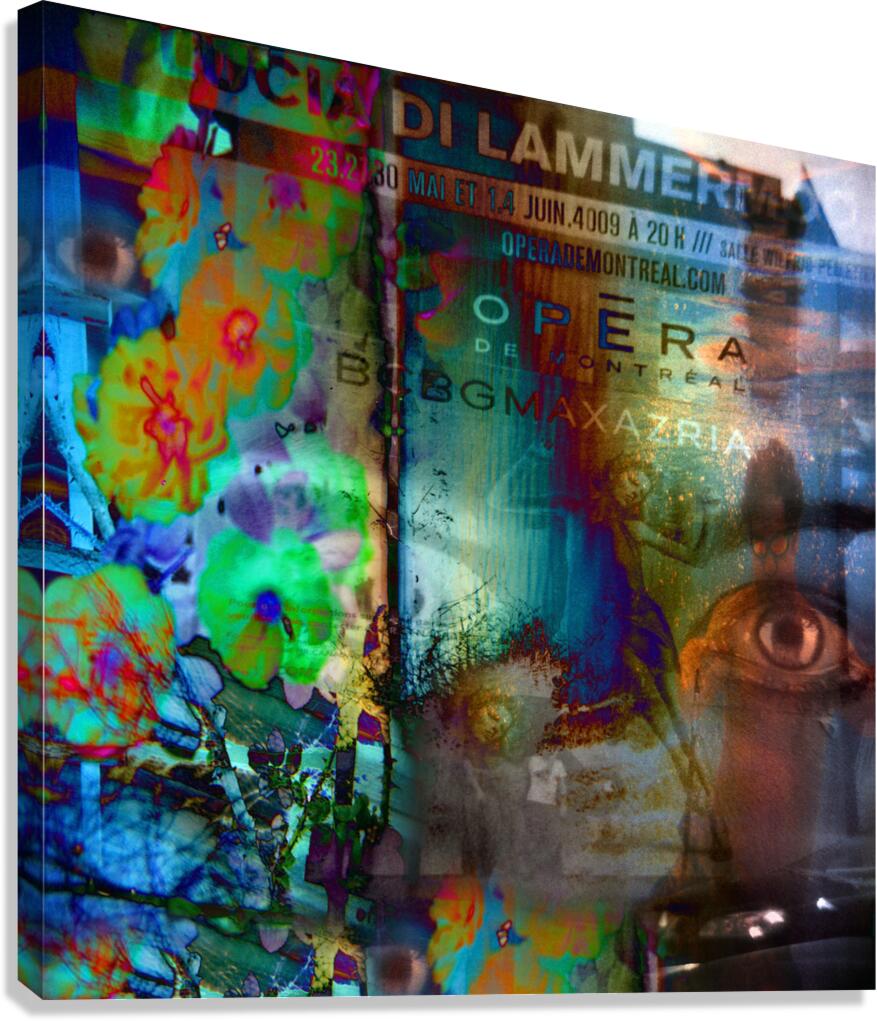 Aria 51 Canvas Print