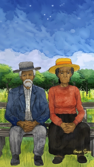 Fields of Reflection