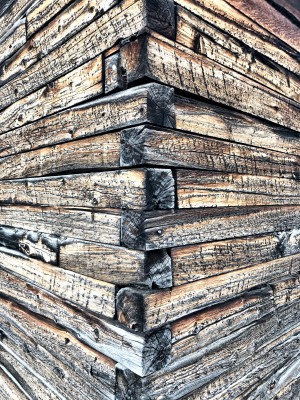 Log wall art 