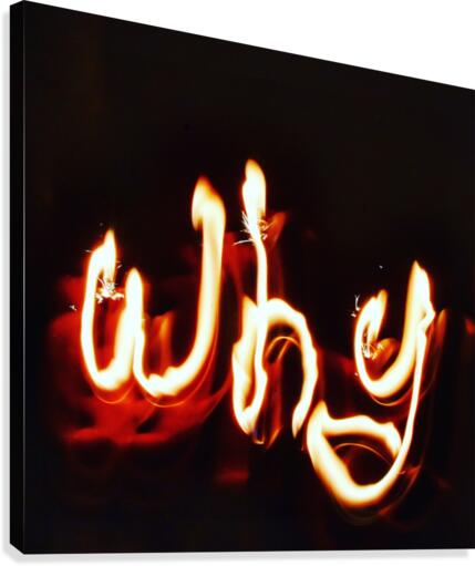 Why word Canvas Print
