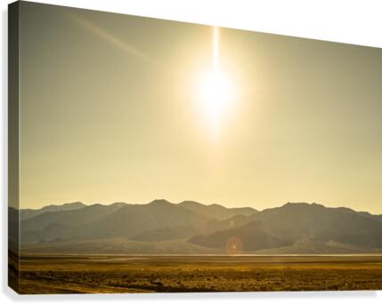 Desert Sun  Canvas Print