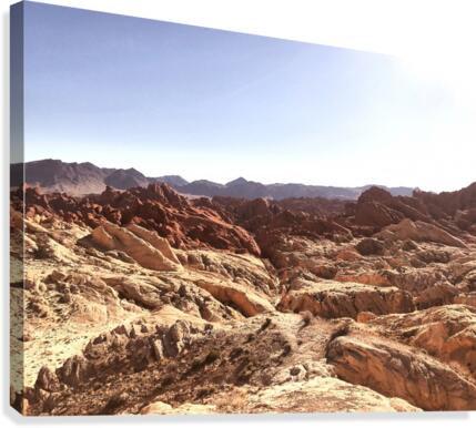 Canyon  Canvas Print