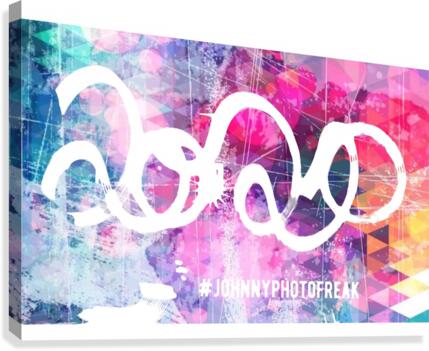 2020c  Canvas Print