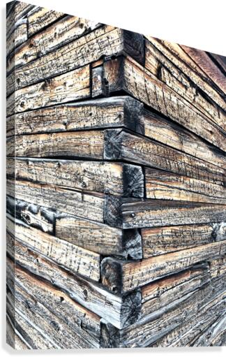 Log wall art  Canvas Print