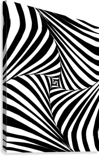 zebra abstract Canvas Print