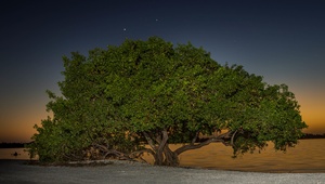 Sanibel Island