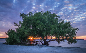 Sanibel Island
