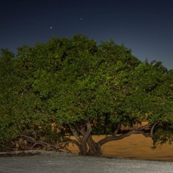 Sanibel Island