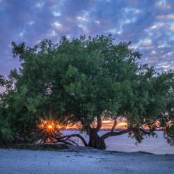 Sanibel Island