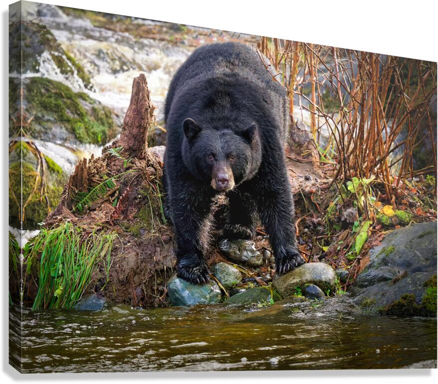 The Watch Canvas Print