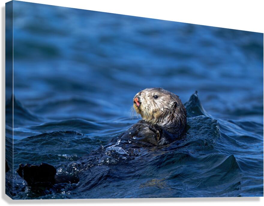 Relax  Canvas Print