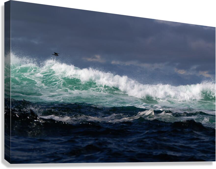 Waves Canvas Print
