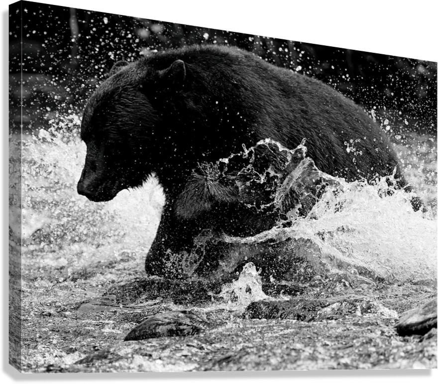 TSUNAMI Canvas Print