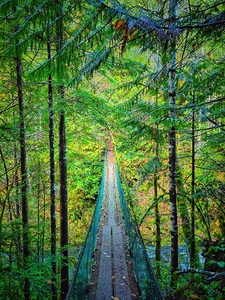 Fossil Bridge Vancouver Island