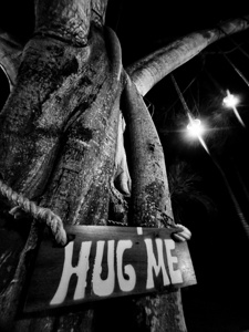 Hug me Tree - Grayscale Black and White