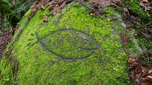 Rock Fish Carving