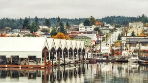 Boats in City Harbour Vancouver Island