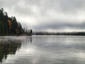 Morning Mist on the Lake