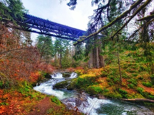 Fall Trestle
