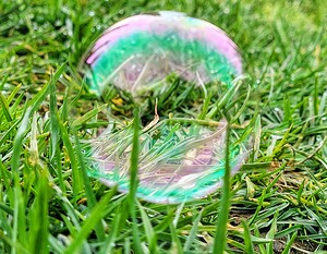 Grass Bubble