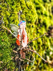 Tree Fairy