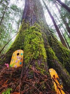 Tree Fairy Condo