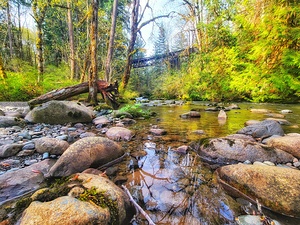 River Running under Trestle