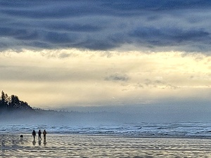 Tofino Vancouver Island