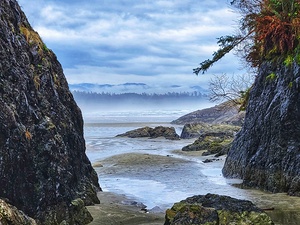 Tofino Beach Horizon