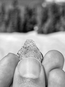 Snow Diamond Black and White