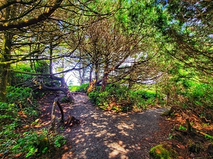 Pacific West Coast Trail