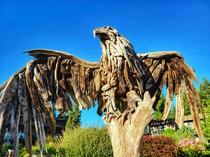 Driftwood Eagle