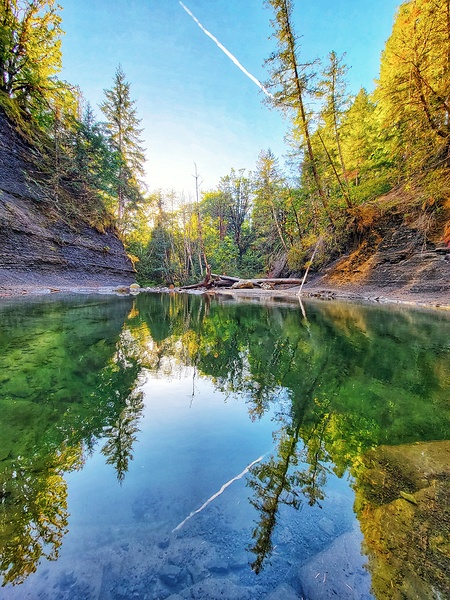 River Reflection Print