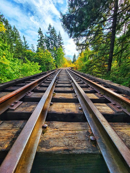 Train Tracks Print